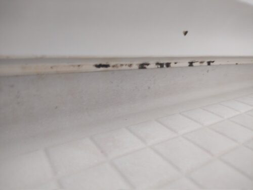 浴室パッキン黒カビ　ビフォーアフター